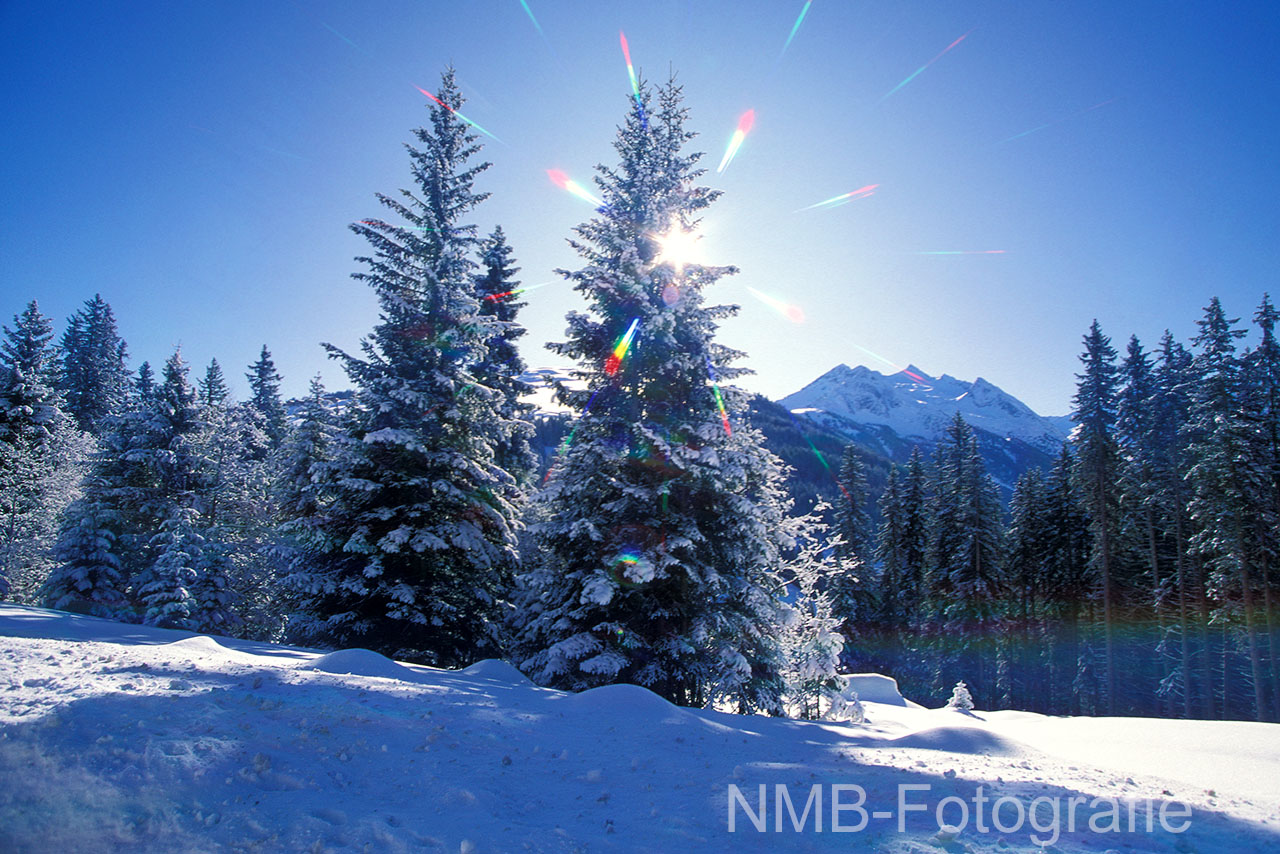 Naturfotografie Im Winter NMB Naturfoto NMB Naturfoto Faszination Naturfotografie Im Winter NMB Naturfoto NMB Naturfoto Faszination