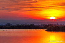 Landschaft Fotografie