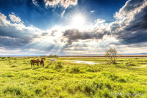 Landschaft Fotografie