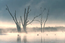 Landschaft Fotografie