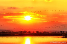 Landschaft Fotografie