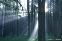 Landschaft Fotografie