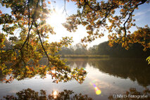 Landschaft Fotografie