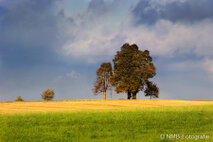 Landschaft Fotografie
