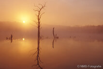 Landschaft Fotografie