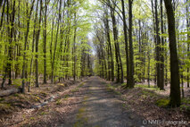 Landschaft Fotografie