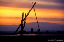 Landschaft Fotografie