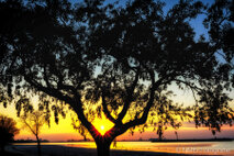 Landschaft Fotografie