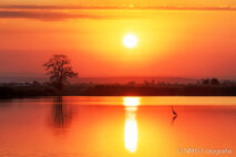 Landschaft Fotografie