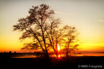 Landschaft Fotografie