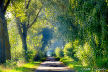 Landschaft Fotografie