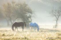 Landschaft Fotografie