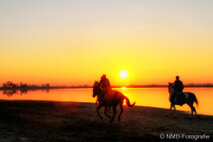 Landschaft Fotografie