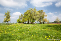 Landschaft Fotografie