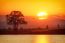 Landschaft Fotografie