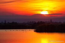 Landschaft Fotografie
