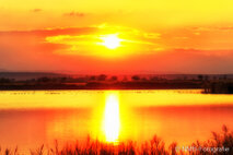 Landschaft Fotografie