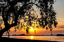 Landschaft Fotografie