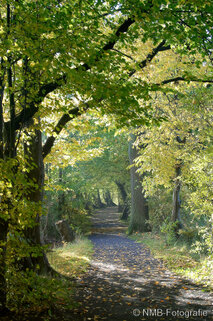 Landschaft Fotografie
