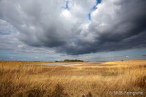 Foto Neusiedlersee