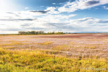 Foto Neusiedlersee