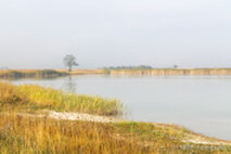 Foto Neusiedlersee