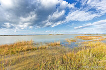 Foto Neusiedlersee