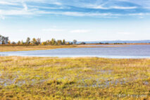 Foto Neusiedlersee