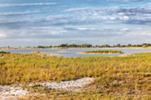 Foto Neusiedlersee