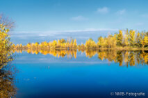 Foto Neusiedlersee