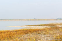 Foto Neusiedlersee