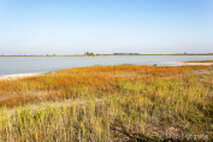 Foto Neusiedlersee