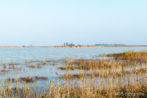 Foto Neusiedlersee