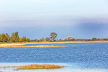Foto Neusiedlersee