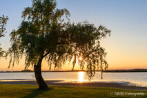 Foto Neusiedlersee