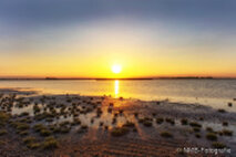 Foto Neusiedlersee
