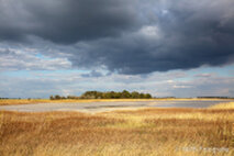 Foto Neusiedlersee