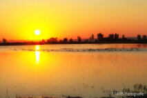 Foto Neusiedlersee