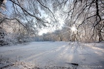 Winter Foto