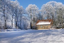 Winter Foto